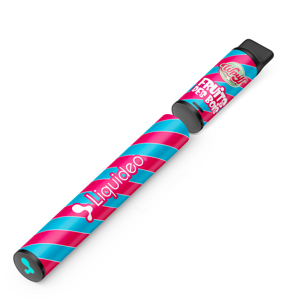 Wpuff Original Pod 600 - 1 batterie + 1 pod Fruit des bois x10