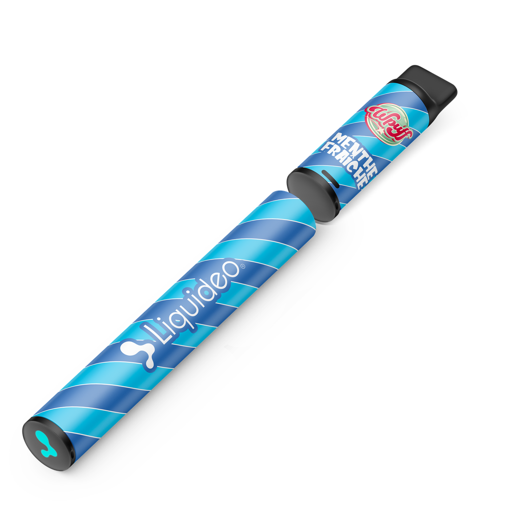 Wpuff Original Pod 600 - 1 batterie + 1 pod Menthe Fraîche x10