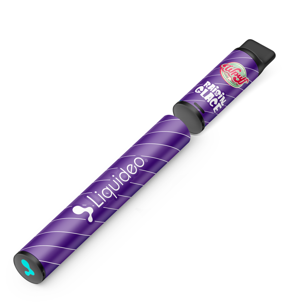 Wpuff Original Pod 600 - 1 batterie + 1 pod Raisin Glacée x10