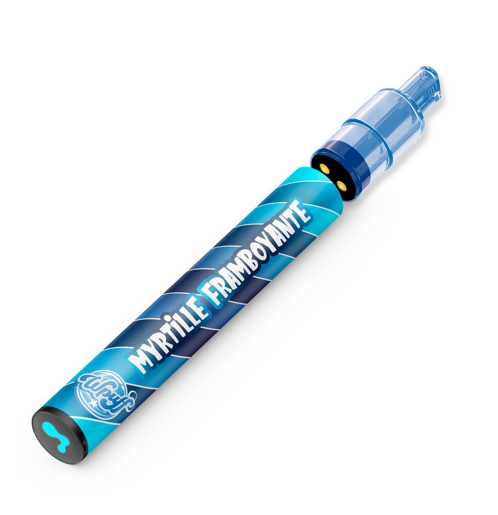 Wpuff Pod 2.0 800 - 1 batterie + 1 pod Myrtille Framboyante x10