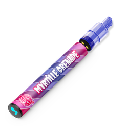 Wpuff Pod 2.0 800 - 1 batterie + 1 pod Myrtille Grenade x10