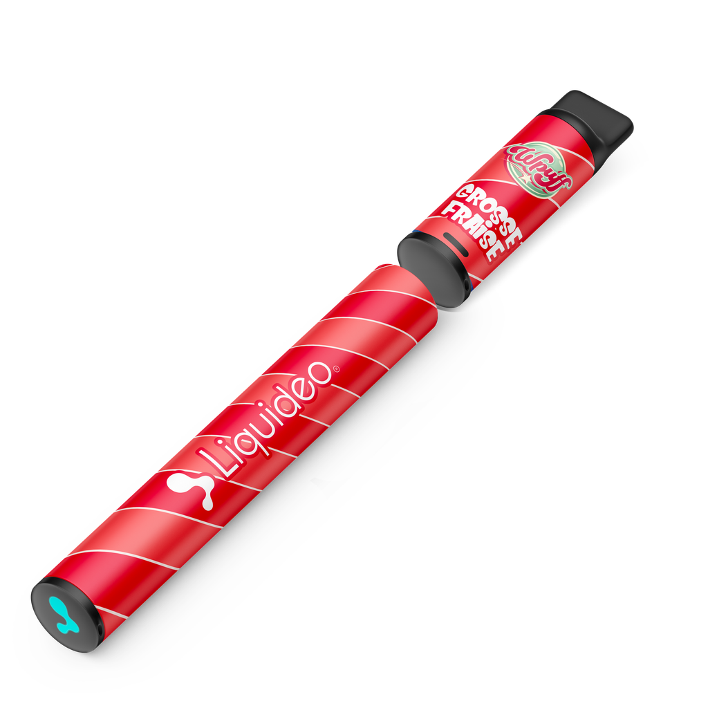 Wpuff Original Pod 600 - 1 batterie + 1 pod Grosse Fraise x10