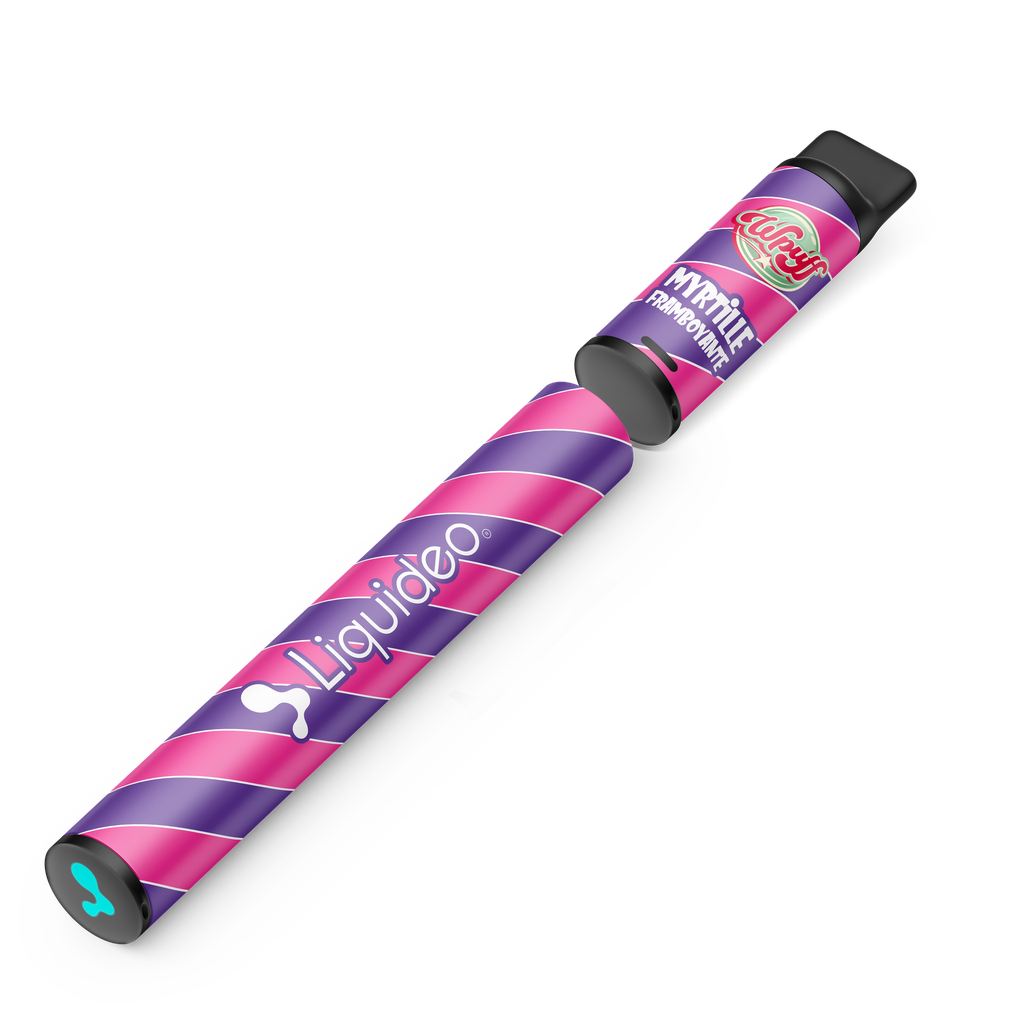 Wpuff Original Pod 600 - 1 batterie + 1 pod Myrtille Framboyante x10